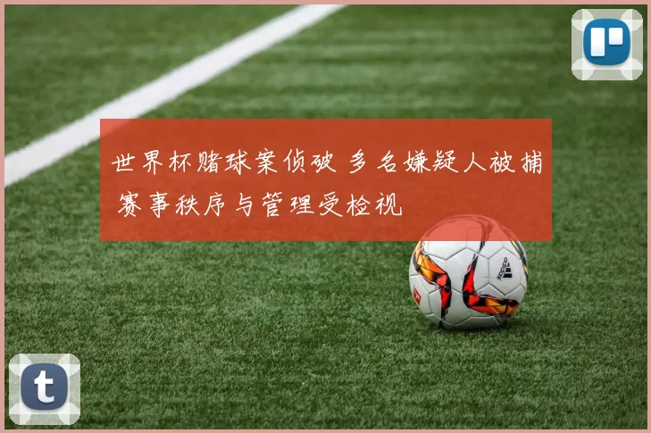 世界杯赌球案侦破 多名嫌疑人被捕 赛事秩序与管理受检视