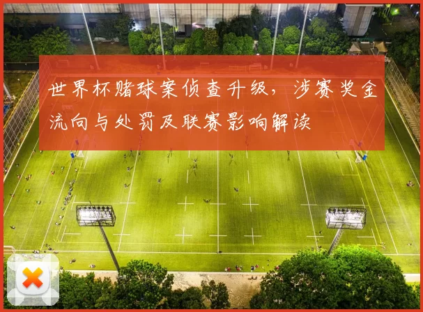 世界杯赌球案侦查升级,涉赛奖金流向与处罚及联赛影响解读