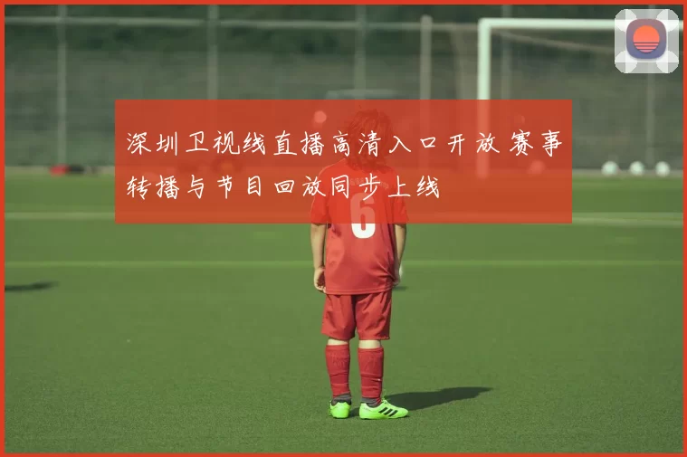 深圳卫视线直播高清入口开放 赛事转播与节目回放同步上线