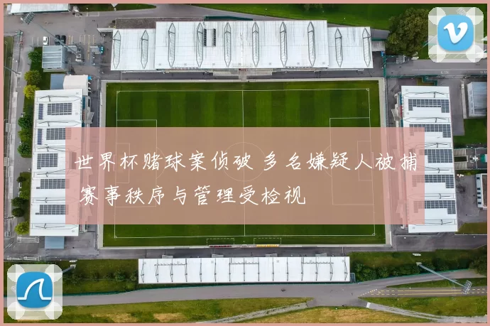 世界杯赌球案侦破 多名嫌疑人被捕 赛事秩序与管理受检视