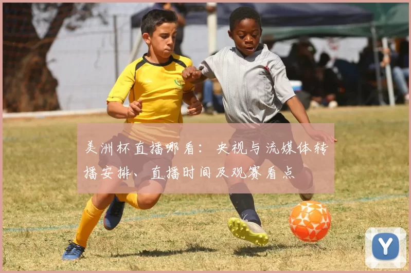 美洲杯直播哪看：央视与流媒体转播安排、直播时间及观赛看点