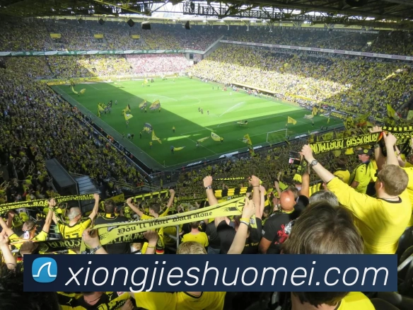 球友会体育(中国)官方网站服务体系